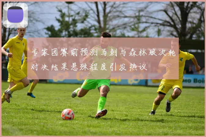 专家团赛前预测马刺与森林狼次轮对决结果悬殊程度引发热议